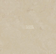 Кварцвиниловые полы Forbo Marmoleum Click 333711-633711 cloudy sand фото 1 | FLOORDEALER